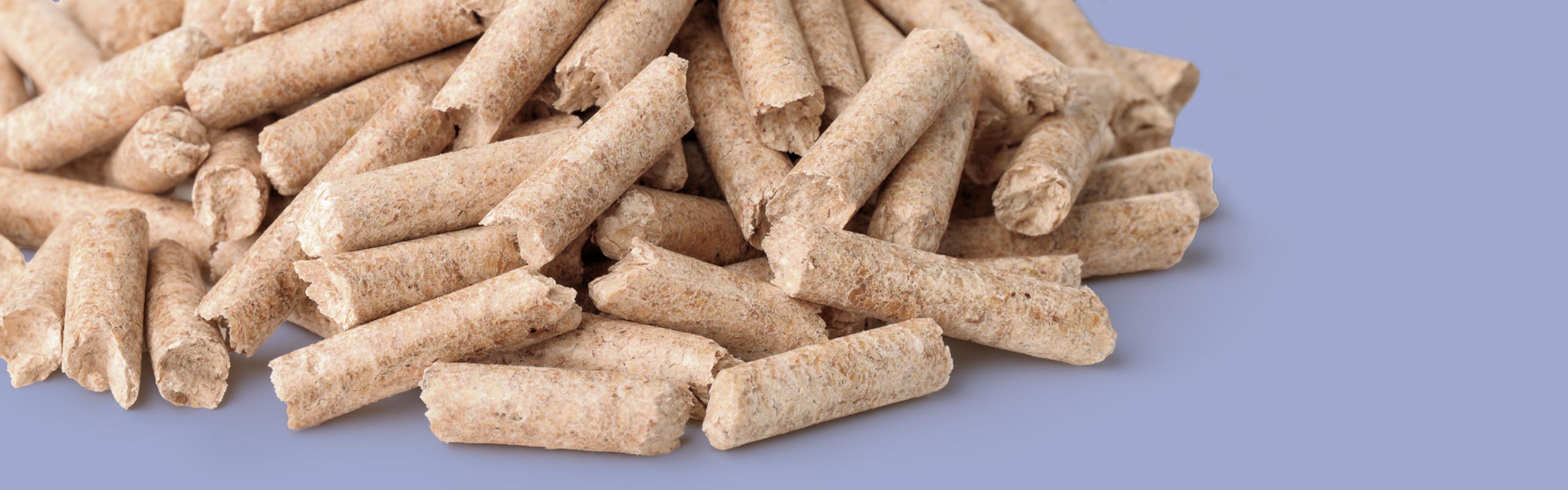 franken-pellets-anfragen-header Haufen Holzpellets liegt auf neutralem grauen Untergrund.