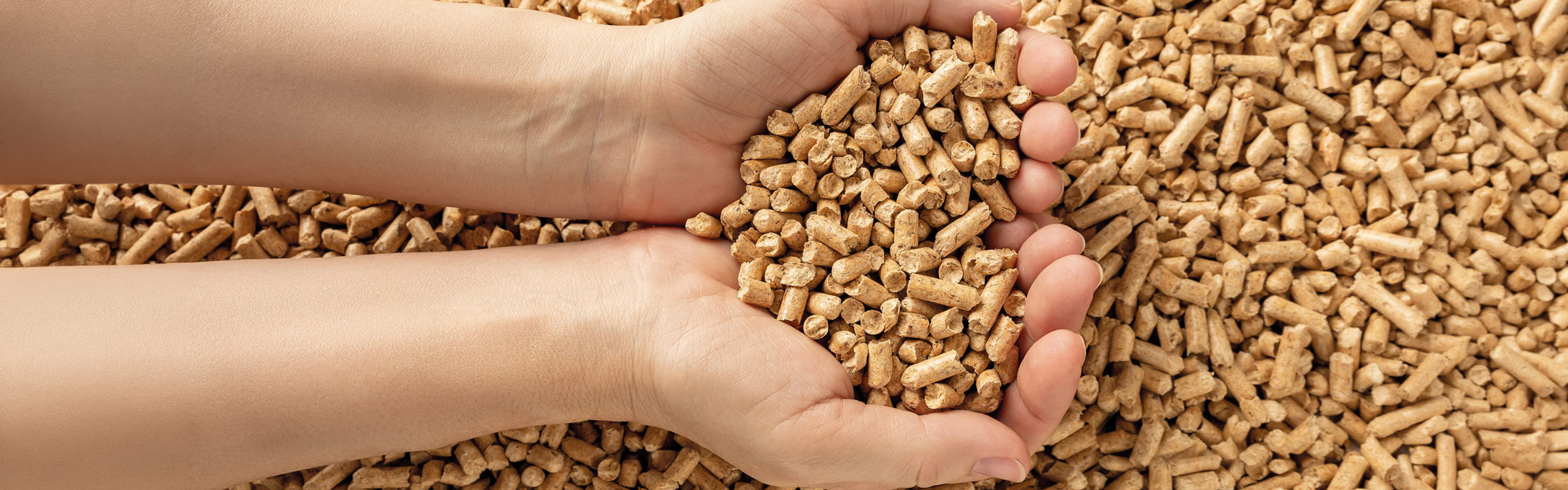 franken-pellets-karriere-header Hände halten Holzpellets über einem großen Vorrat an Holzpellets.